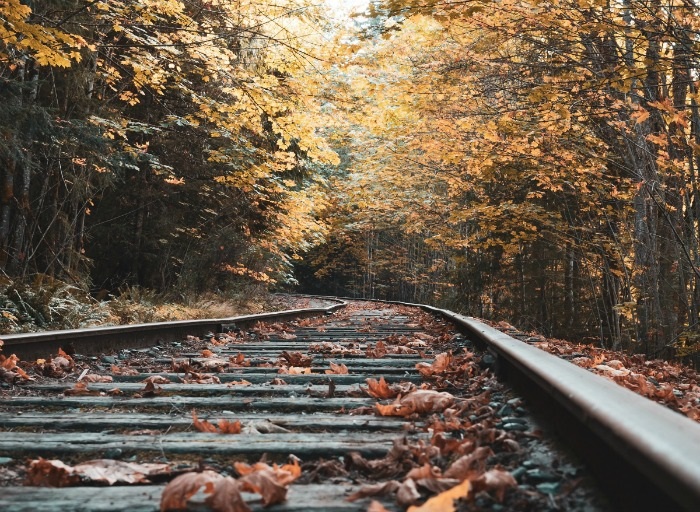 Autumn 101: Understanding Slippery Rails